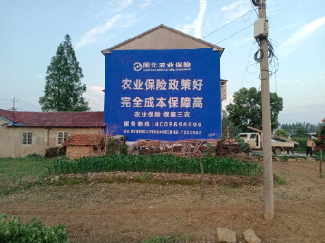 延安墙体广告为何受追捧？